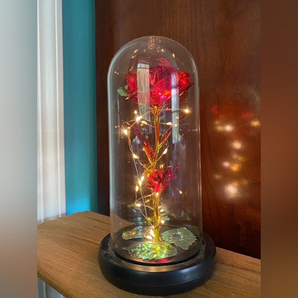 An enchanted rose lamp  🥀